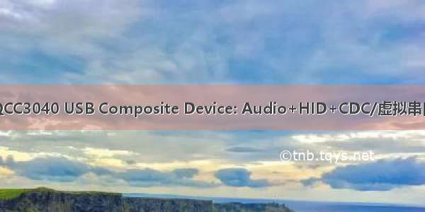 QCC3040 USB Composite Device: Audio+HID+CDC/虚拟串口