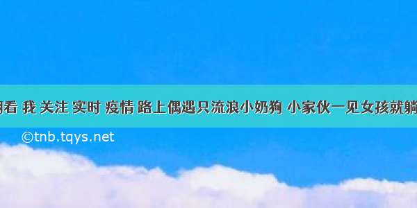 刷新 翻看 我 关注 实时 疫情 路上偶遇只流浪小奶狗 小家伙一见女孩就躺地上撒