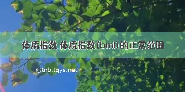 体质指数 体质指数(bmi)的正常范围