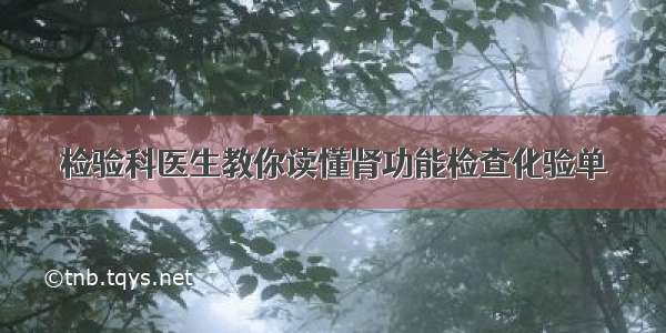 检验科医生教你读懂肾功能检查化验单