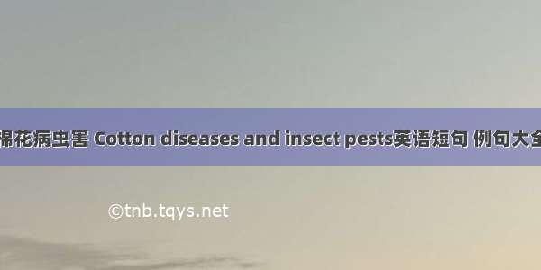 棉花病虫害 Cotton diseases and insect pests英语短句 例句大全