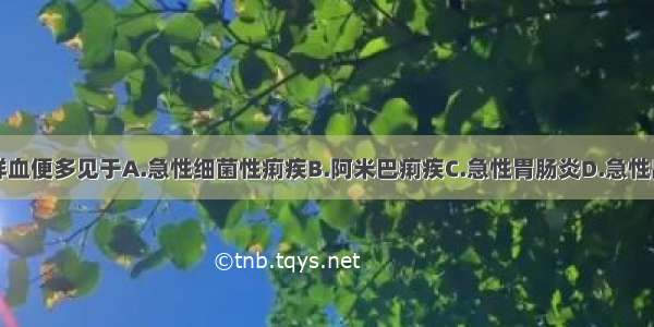 暗红色果酱样血便多见于A.急性细菌性痢疾B.阿米巴痢疾C.急性胃肠炎D.急性出血坏死性肠