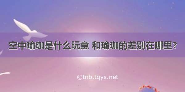 空中瑜珈是什么玩意 和瑜珈的差别在哪里？