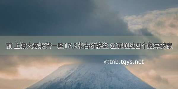 前 上海大叔报警一座17.5米古桥被盗 公安通过四个数字破案