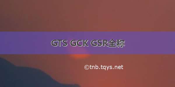 GTS GCK GSR全称