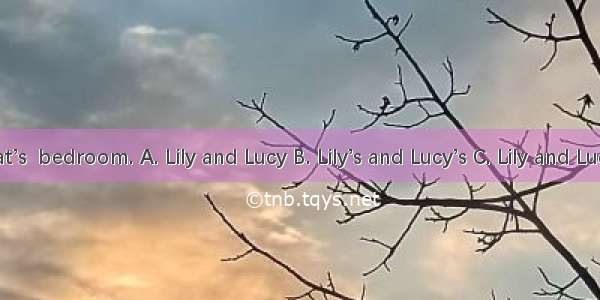 That’s  bedroom. A. Lily and Lucy B. Lily’s and Lucy’s C. Lily and Lucy’s