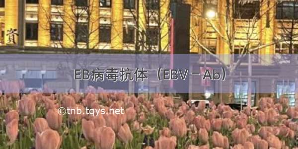 EB病毒抗体（EBV－Ab）