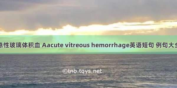 急性玻璃体积血 Aacute vitreous hemorrhage英语短句 例句大全