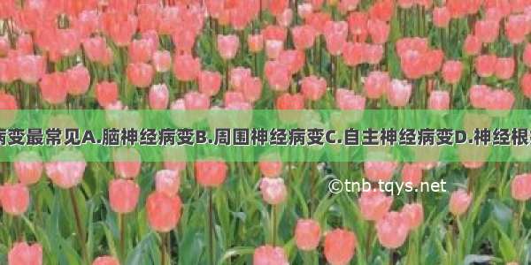 糖尿病神经病变最常见A.脑神经病变B.周围神经病变C.自主神经病变D.神经根病变E.脊髓病