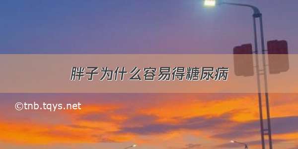 胖子为什么容易得糖尿病