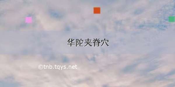 华陀夹脊穴