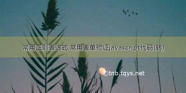 常用正则表达式 常用表单验证javascript代码(转)