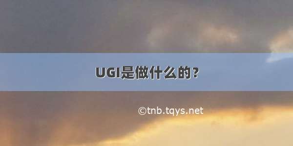 UGI是做什么的？