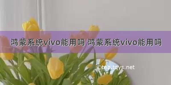 鸿蒙系统vivo能用吗 鸿蒙系统vivo能用吗