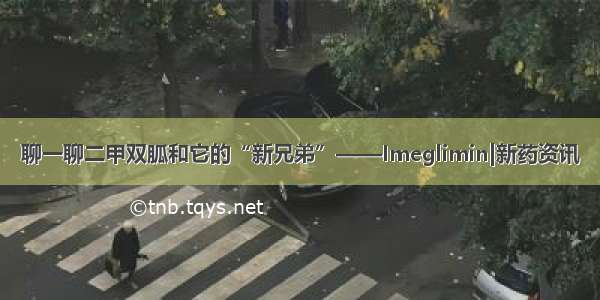 聊一聊二甲双胍和它的“新兄弟”——Imeglimin|新药资讯