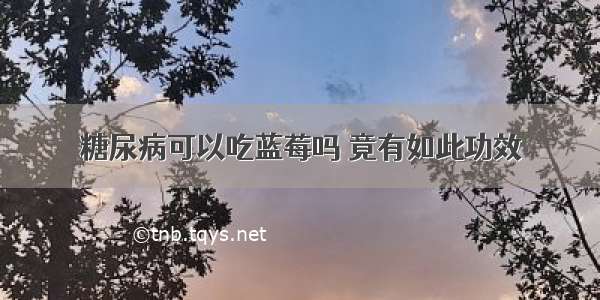 糖尿病可以吃蓝莓吗 竟有如此功效