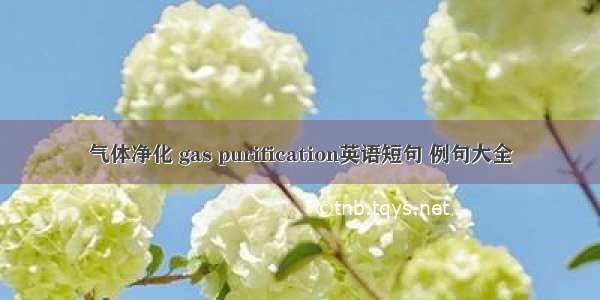 气体净化 gas purification英语短句 例句大全