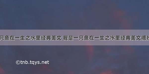 我是一只鱼在一生之水里经典美文 我是一只鱼在一生之水里经典美文摘抄(二篇)