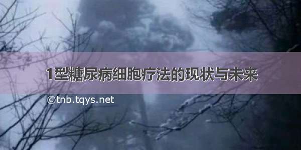 1型糖尿病细胞疗法的现状与未来