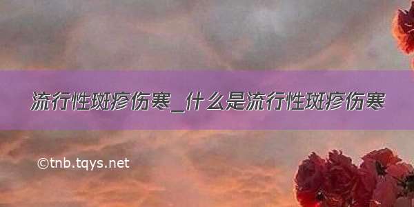 流行性斑疹伤寒_什么是流行性斑疹伤寒