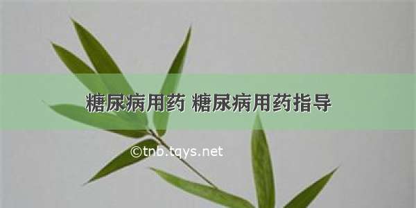 糖尿病用药 糖尿病用药指导