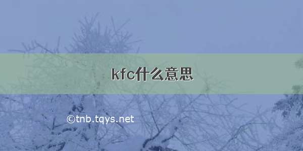 kfc什么意思