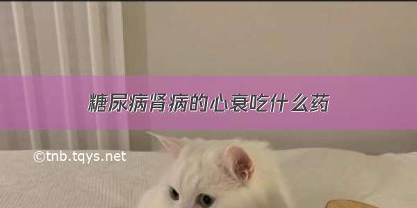 糖尿病肾病的心衰吃什么药