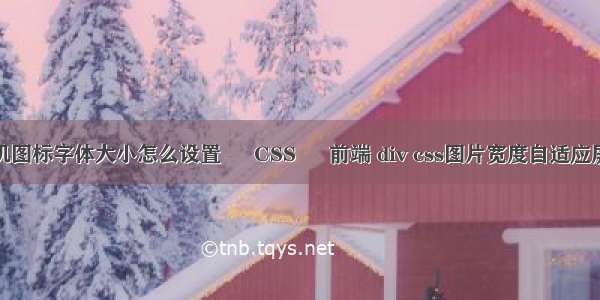 手机图标字体大小怎么设置 – CSS – 前端 div css图片宽度自适应屏幕