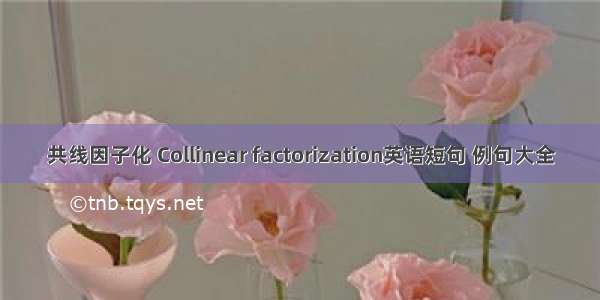 共线因子化 Collinear factorization英语短句 例句大全