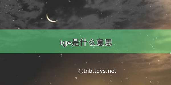 ige是什么意思