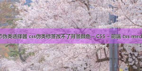 css状态伪类选择器 css伪类标签改不了背景颜色 – CSS – 前端 css media 兼容