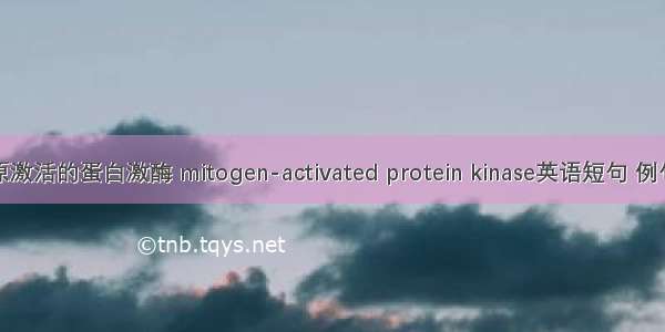 丝裂原激活的蛋白激酶 mitogen-activated protein kinase英语短句 例句大全