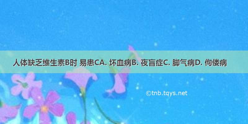 人体缺乏维生素B时 易患CA. 坏血病B. 夜盲症C. 脚气病D. 佝偻病