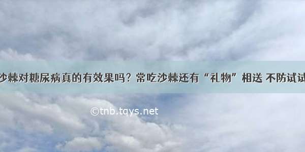 沙棘对糖尿病真的有效果吗？常吃沙棘还有“礼物”相送 不防试试