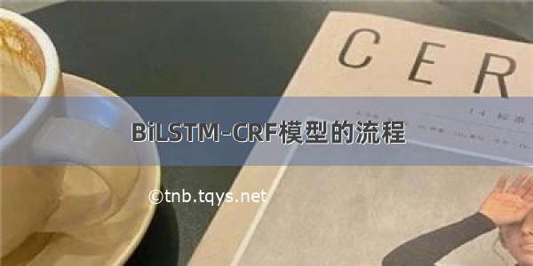 BiLSTM-CRF模型的流程