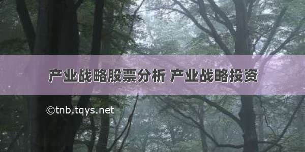 产业战略股票分析 产业战略投资