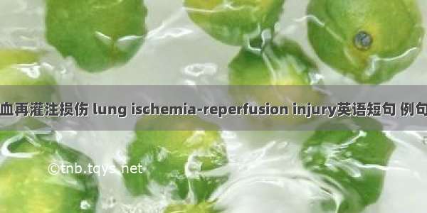 肺缺血再灌注损伤 lung ischemia-reperfusion injury英语短句 例句大全