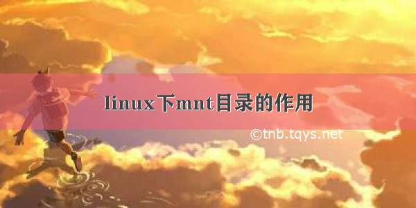 linux下mnt目录的作用