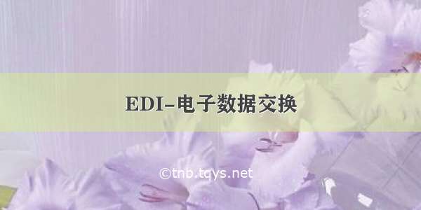 EDI-电子数据交换