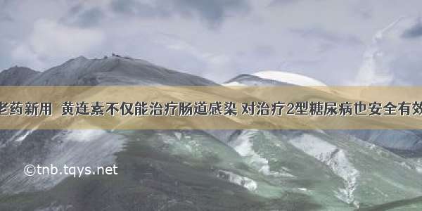 老药新用｜黄连素不仅能治疗肠道感染 对治疗2型糖尿病也安全有效