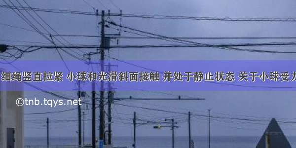 如图所示 细绳竖直拉紧 小球和光滑斜面接触 并处于静止状态 关于小球受力情况的说