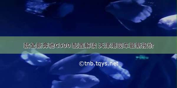 款全新奔驰G500 配置解读 天津港现车最新报价