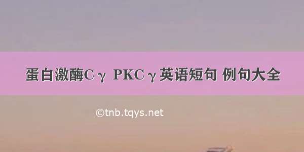 蛋白激酶Cγ PKCγ英语短句 例句大全