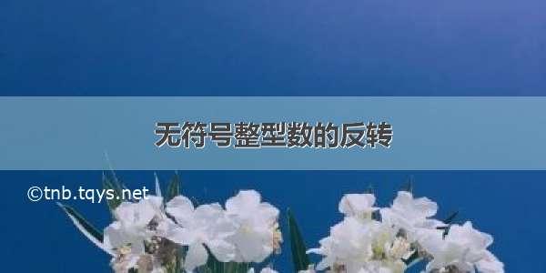 无符号整型数的反转