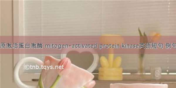 丝裂原激活蛋白激酶 mitogen-activated protein kinase英语短句 例句大全