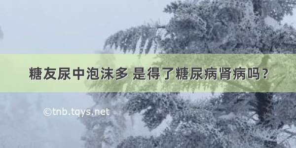 糖友尿中泡沫多 是得了糖尿病肾病吗？