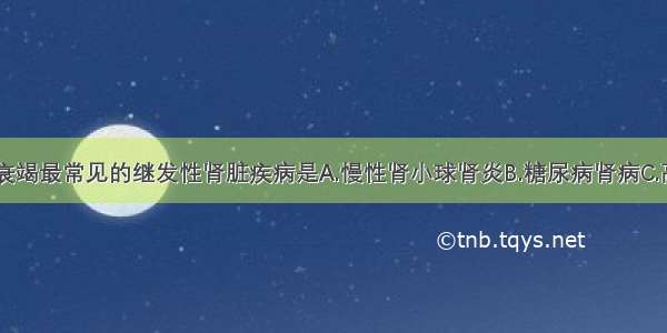 引起慢性肾衰竭最常见的继发性肾脏疾病是A.慢性肾小球肾炎B.糖尿病肾病C.高血压肾病D.