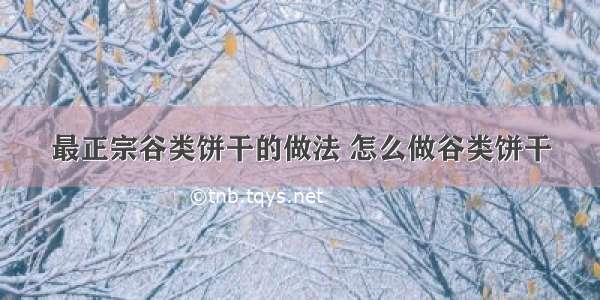 最正宗谷类饼干的做法 怎么做谷类饼干