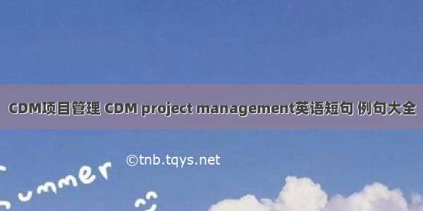 CDM项目管理 CDM project management英语短句 例句大全