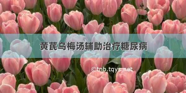 黄芪乌梅汤辅助治疗糖尿病